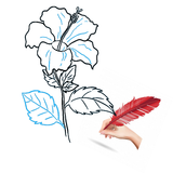 Comment dessiner des fleurs icône