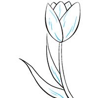 Comment dessiner des fleurs capture d'écran 3