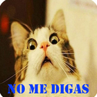 Imágenes memes icono