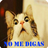 Imágenes memes icono