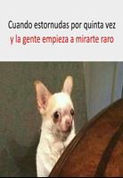 Imágenes memes captura de pantalla 2