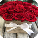 Photos de Roses APK