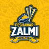 Official Peshawar Zalmi PSL Li biểu tượng