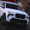 Driving BMW X7 Simulator
