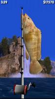 Big Sport Fishing 3D Lite постер