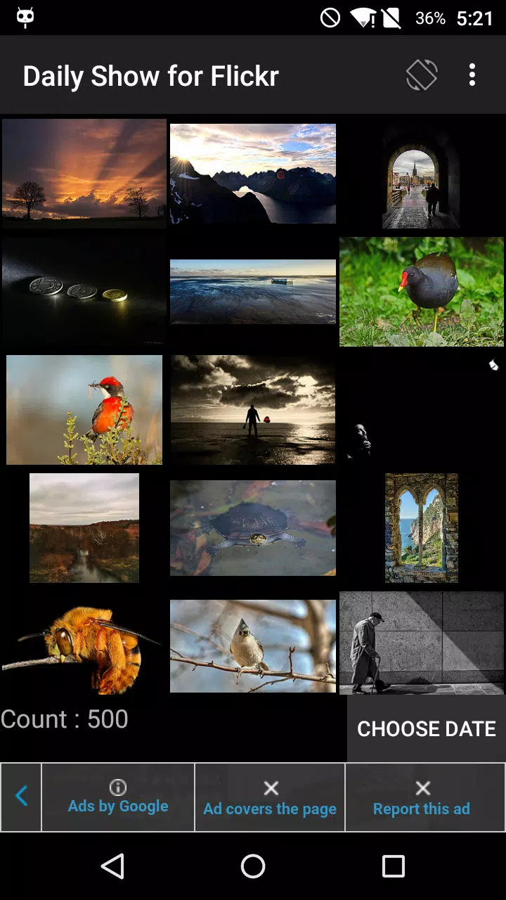 Daily Show for Flickr APK for Android Download