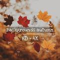 Backgrounds autumn