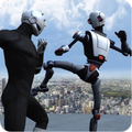 Rooftop Fighter