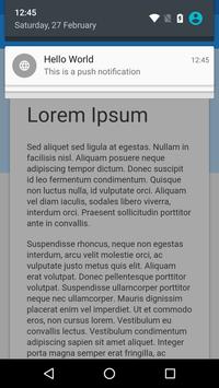 WebView App 截图 6