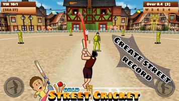 Poster World Street Cricket