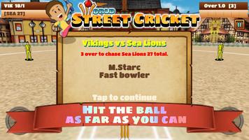 2 Schermata World Street Cricket