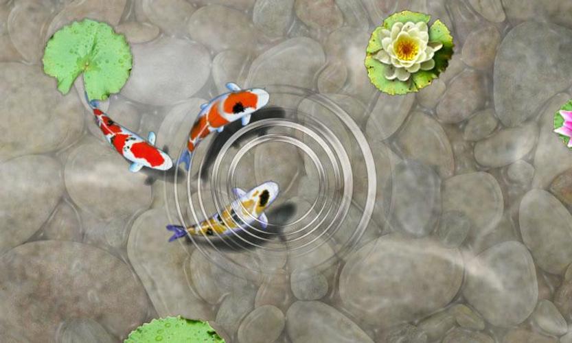 Permainan Anak Feed Koi Fish APK untuk Unduhan Android