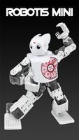 ROBOTIS MINI 포스터