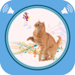 Cat Sounds
