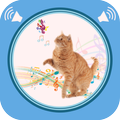 Cat Sounds