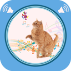 Cat Sounds иконка