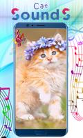 Cat Sounds постер