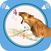 Cougar Sounds