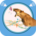 Cougar Sounds