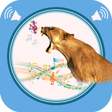 Cougar Sounds آئیکن