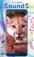 Cougar Sounds ภาพหน้าจอ 3