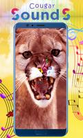 Cougar Sounds ภาพหน้าจอ 1