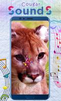 Cougar Sounds ภาพหน้าจอ 2