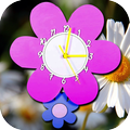 Daisy Flower Clock Live Wallpa
