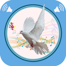 Dove Sounds APK