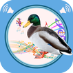 Duck Sounds आइकन