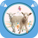APK Farm Animals Sounds