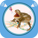 Frog Sounds APK