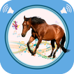 Horse Sounds