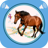 Horse Sounds иконка