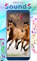 Horse Sounds скриншот 2