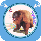 Monkey Sounds 圖標