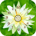 Neon Flower Clock Live Wallpap