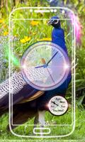 Peacock Clock Live Wallpaper penulis hantaran