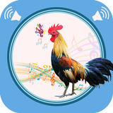 Rooster Sounds icône