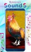 Rooster Sounds скриншот 1