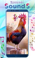 Rooster Sounds скриншот 2