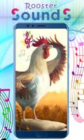 Rooster Sounds скриншот 3