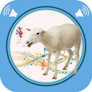 APK Sheep Sounds