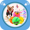 Squeaky Toy Sounds