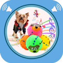APK Squeaky Toy Sounds
