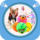 آیکون‌ Squeaky Toy Sounds
