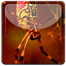 Spider in Puhelin Live WP APK