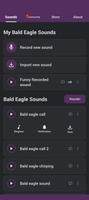 Bald Eagle Sounds-poster