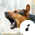 Barking Sounds-icoon