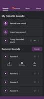 Rooster Sounds پوسٹر